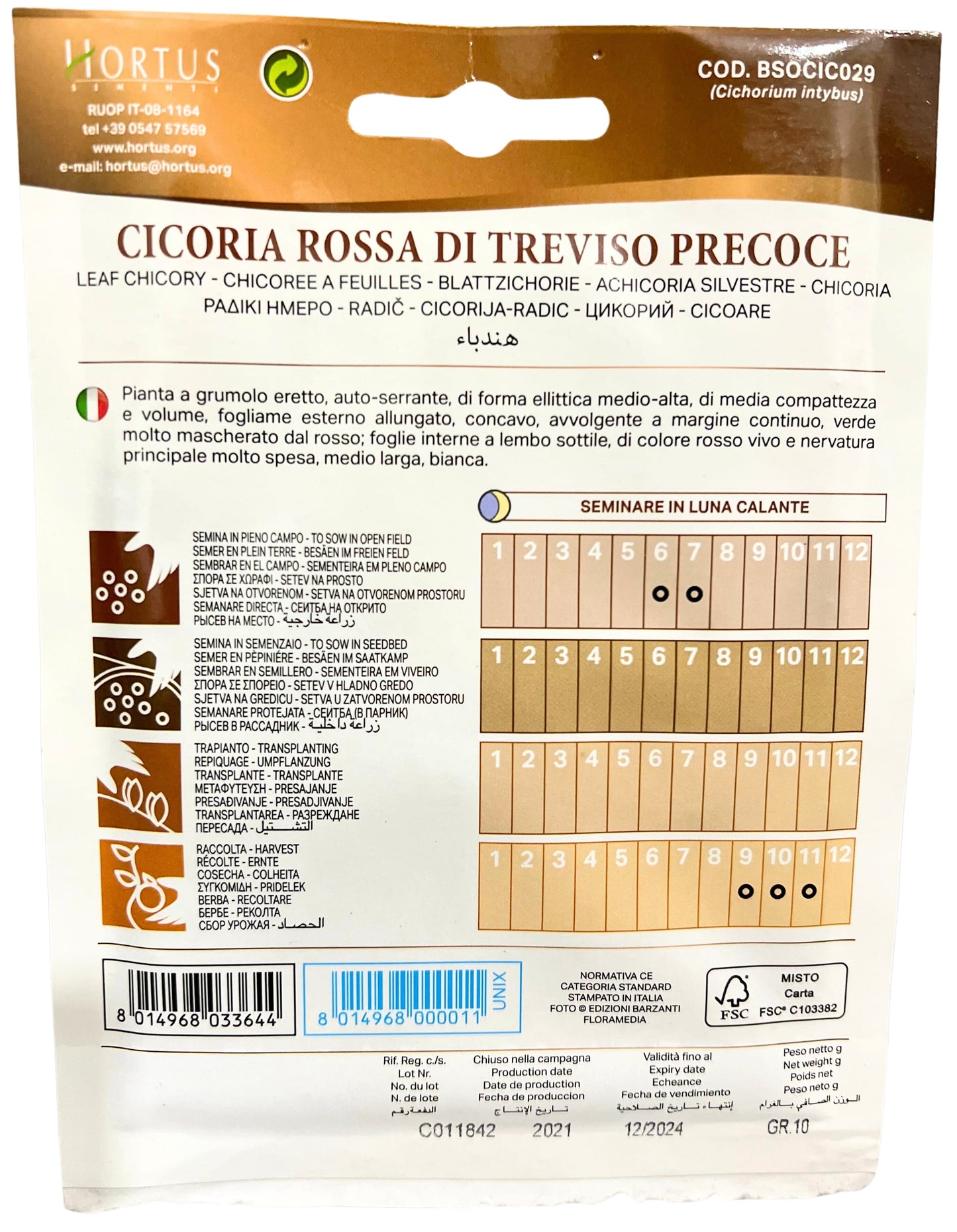 Leaf Chicory (Rossa Di Treviso Precoce) Seeds