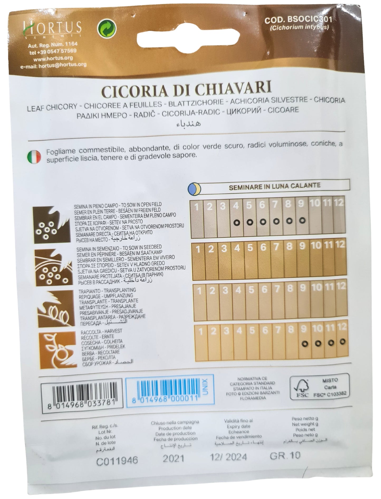 Leaf Chicory (Di Chiavari) Seeds