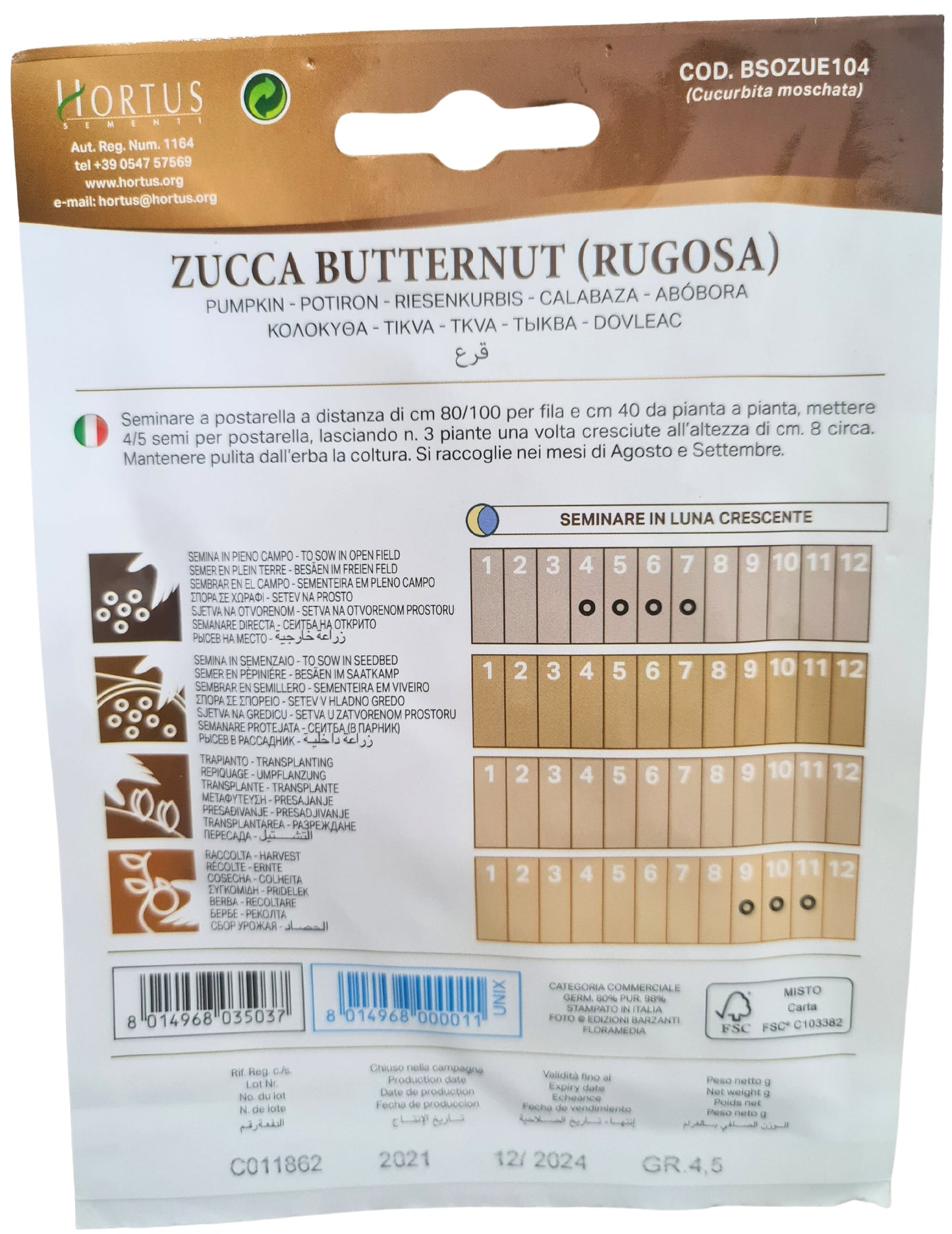 Pumpkin (Butternut rugosa) Seeds