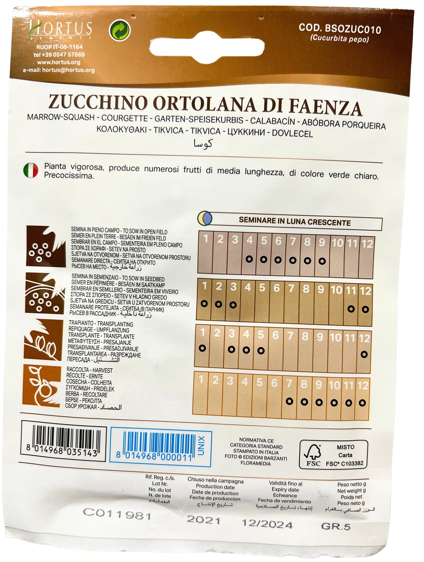 Marrow-squash (Ortolana Di Faenza) Seeds