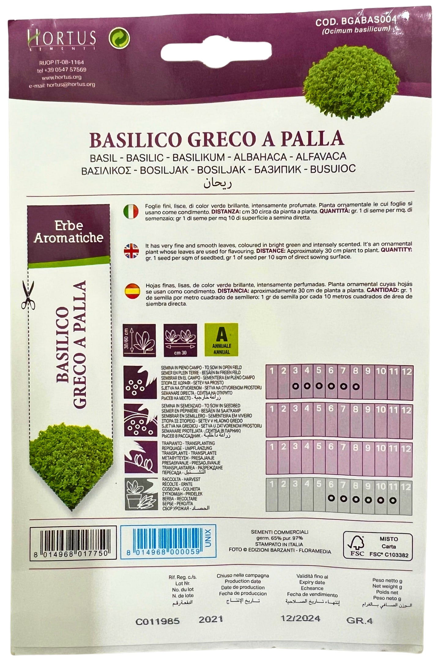 Basil ( Greco A Palla Ocimum Basilicum) Seeds