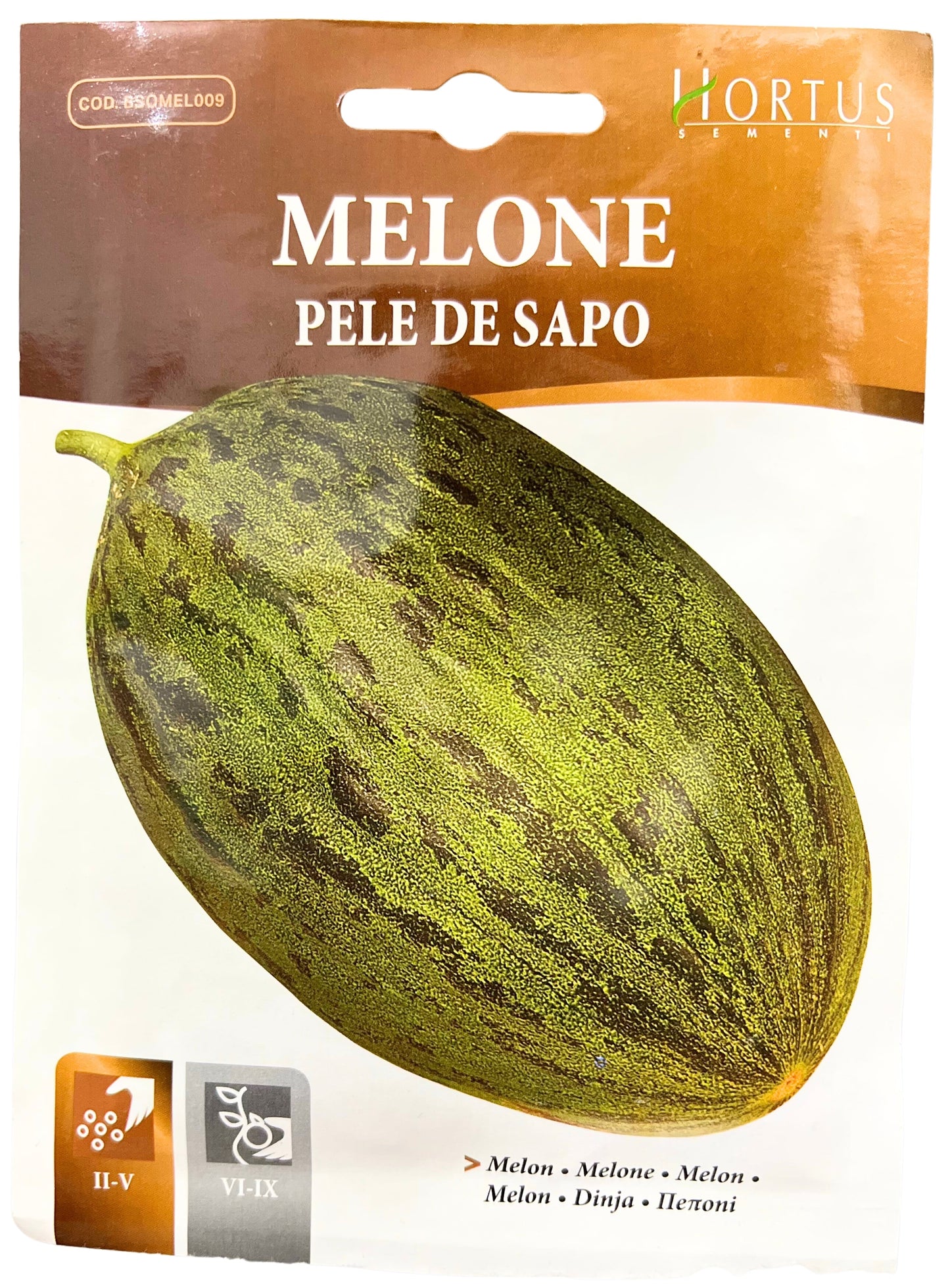 Melon( Pele De Sapo) Seeds