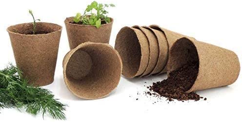 Biodegradable Plant Pot - Pack of 30