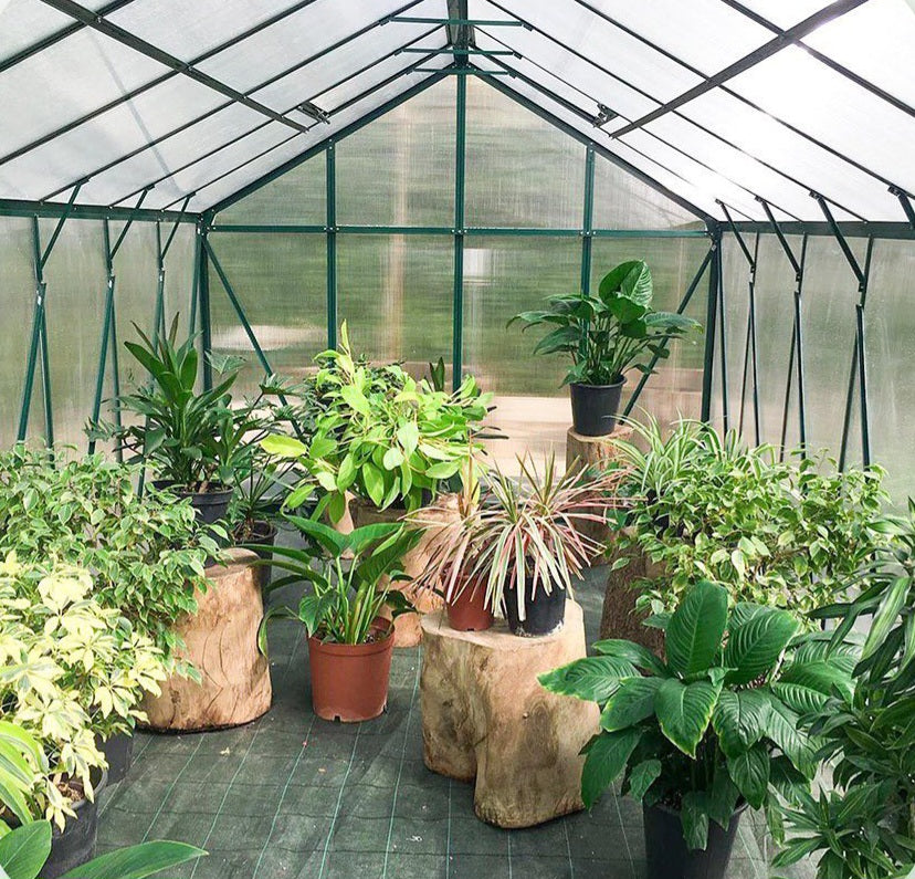 ProGrow Greenhouse