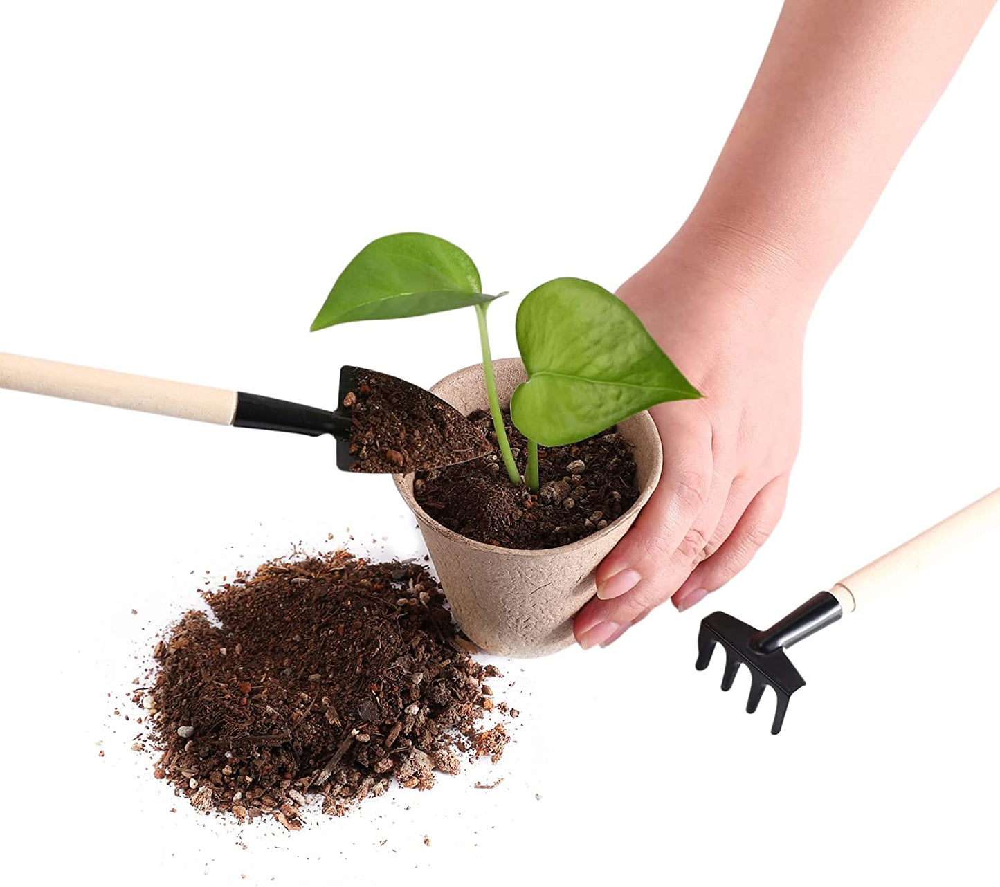 Biodegradable Plant Pot - Pack of 30