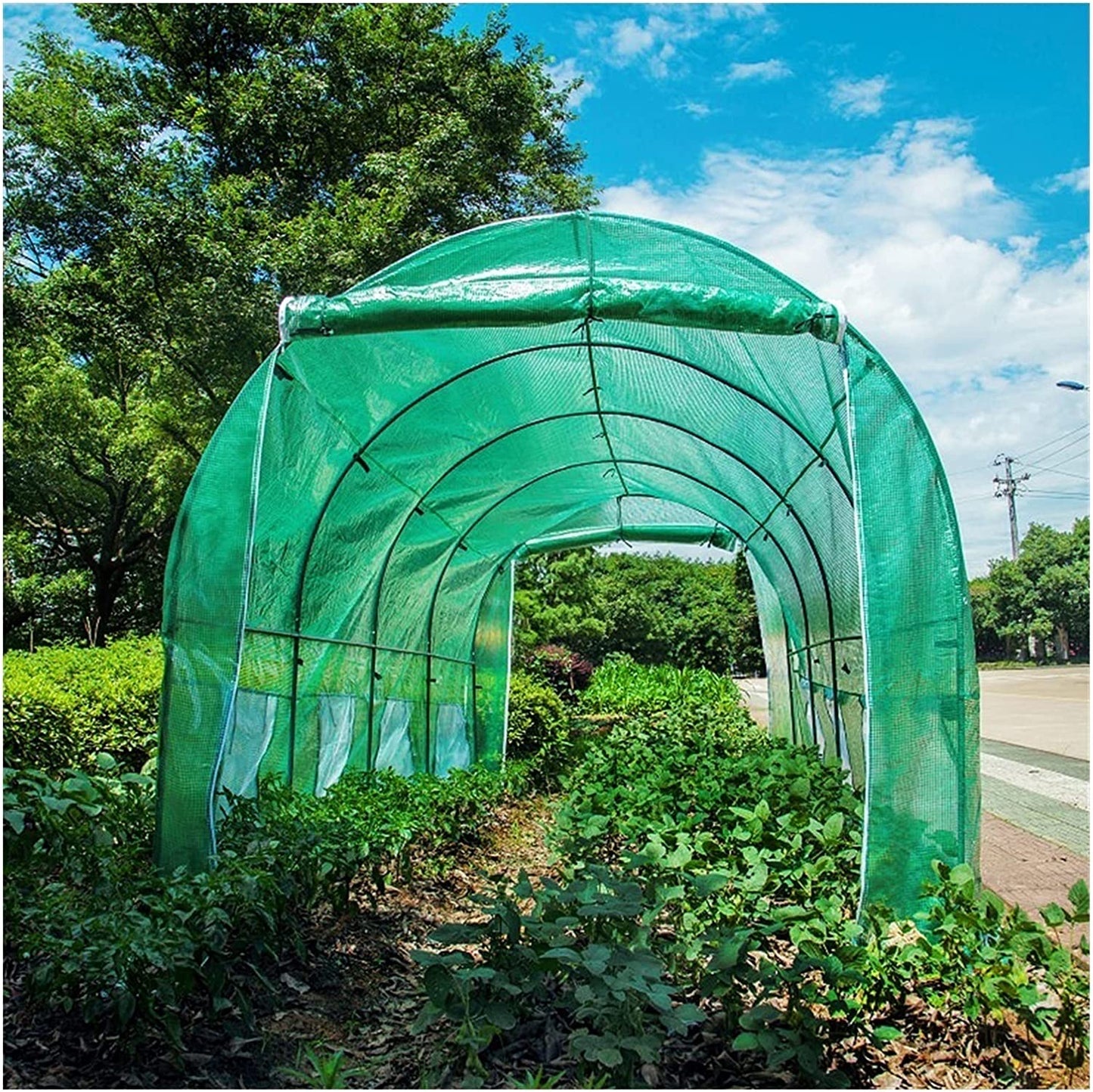 Tunnel Green House 3x3x2m