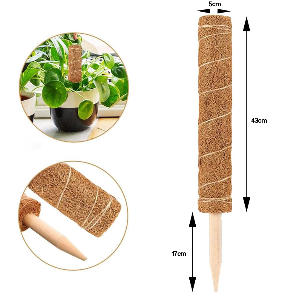 Coir Moss Pole