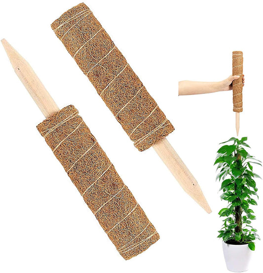 Coir Moss Pole