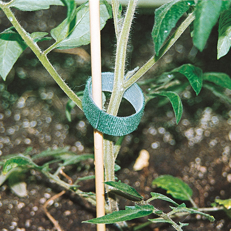 Velcro Plant Tie