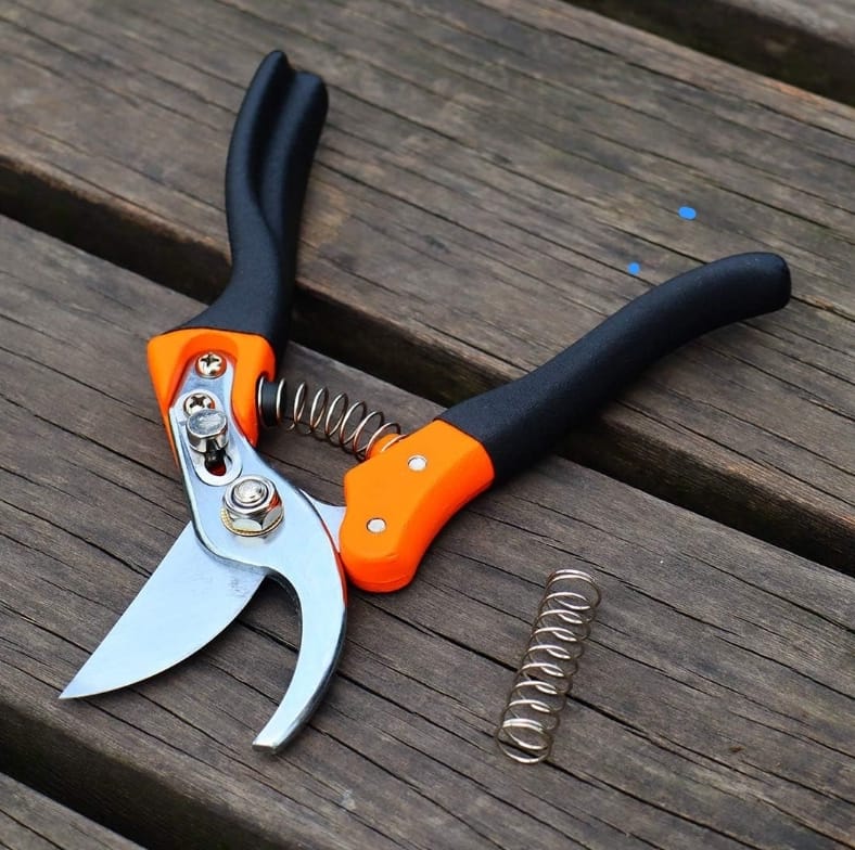 Hand Pruner