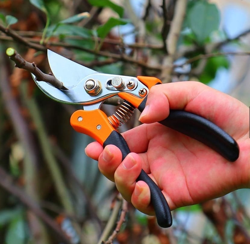 Hand Pruner