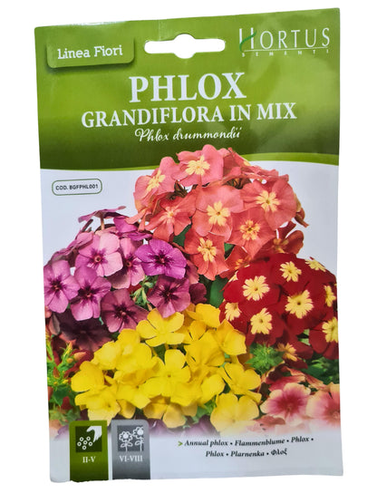 Annual Phlox Seeds