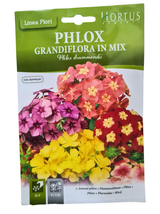 Annual Phlox Seeds