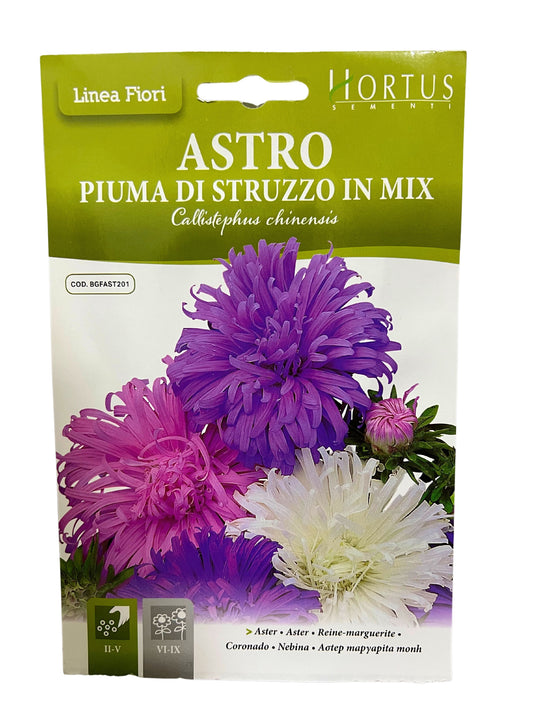 Aster (Pluma Di Struzzo In Mix) Seeds