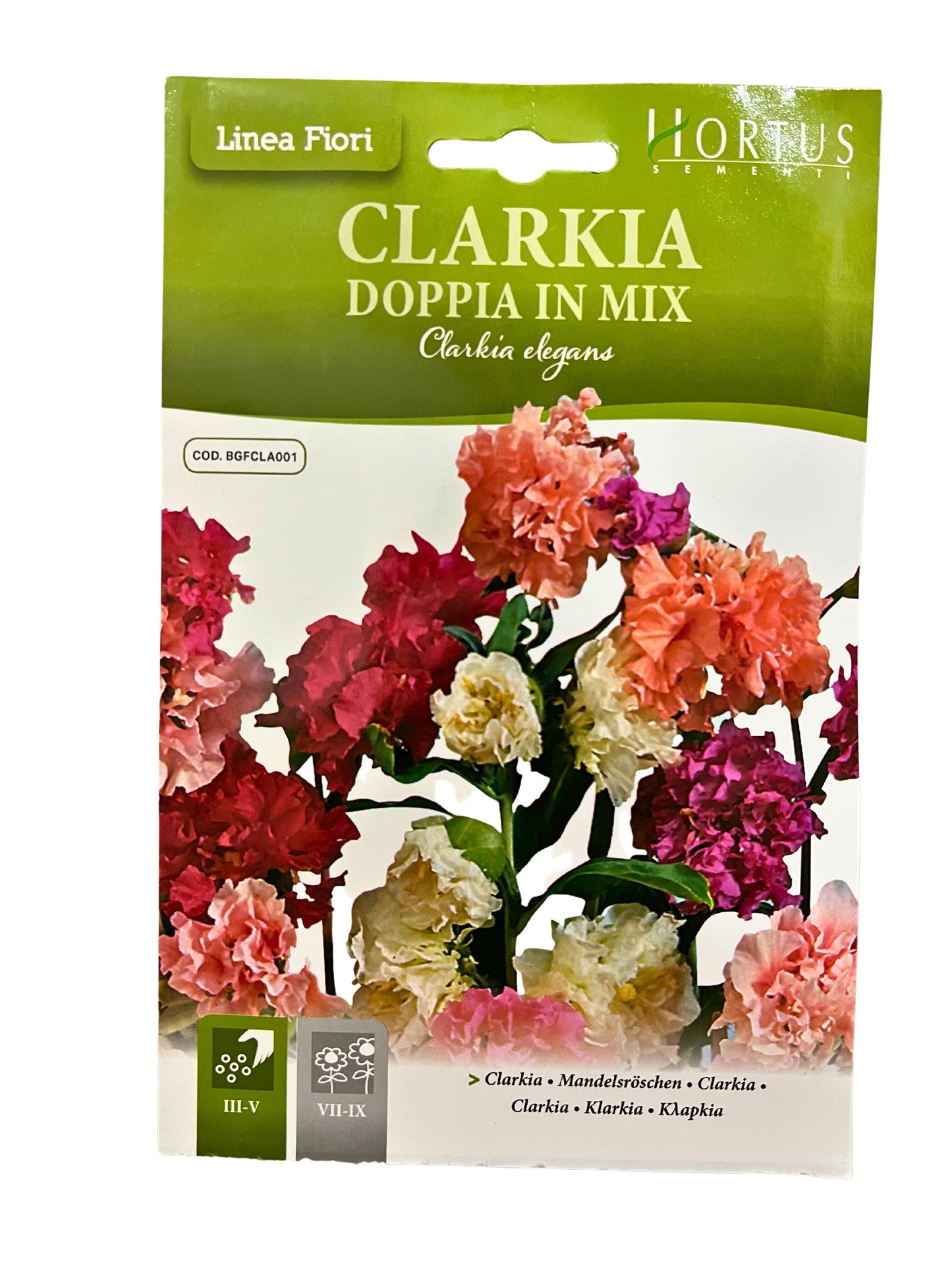 Clarkia Seeds