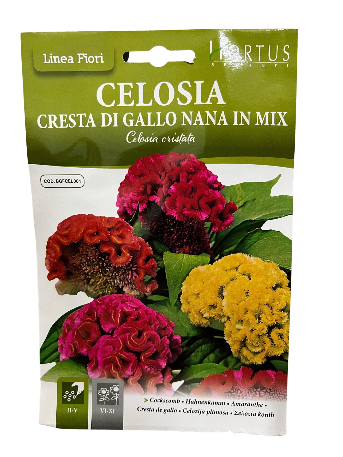 Cockscomb (Cresta Di Gallo Nana In Mix) Seeds