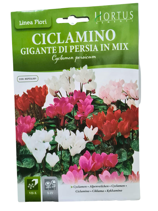 Cyclamen Seeds