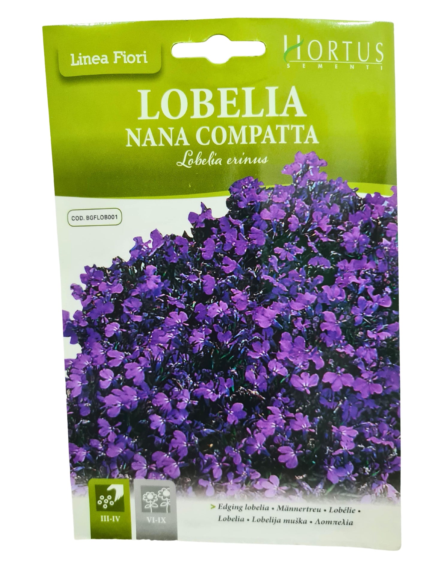 Edging Lobelia Seeds