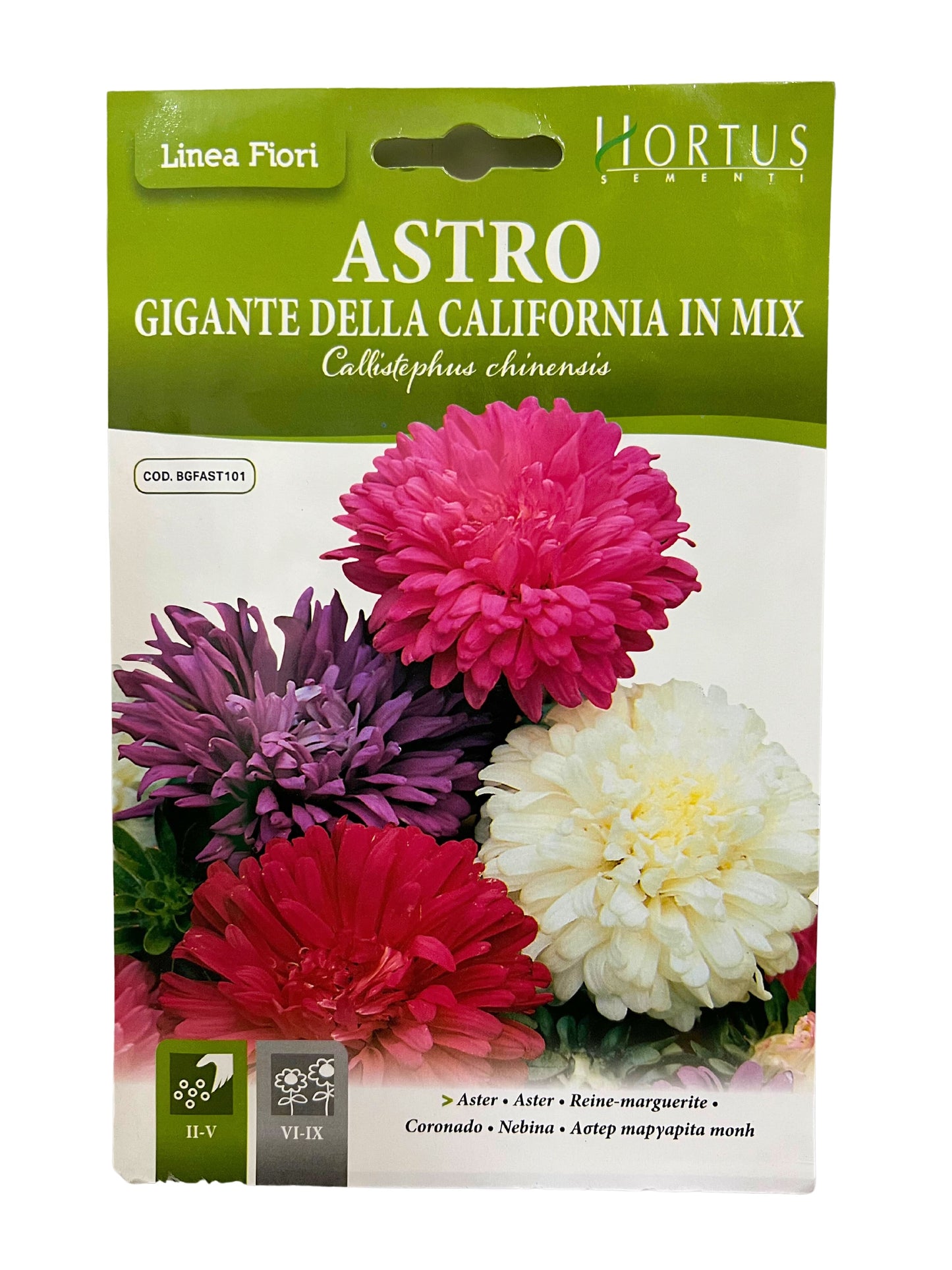 Aster (Gigante Della California In Mix) Seeds