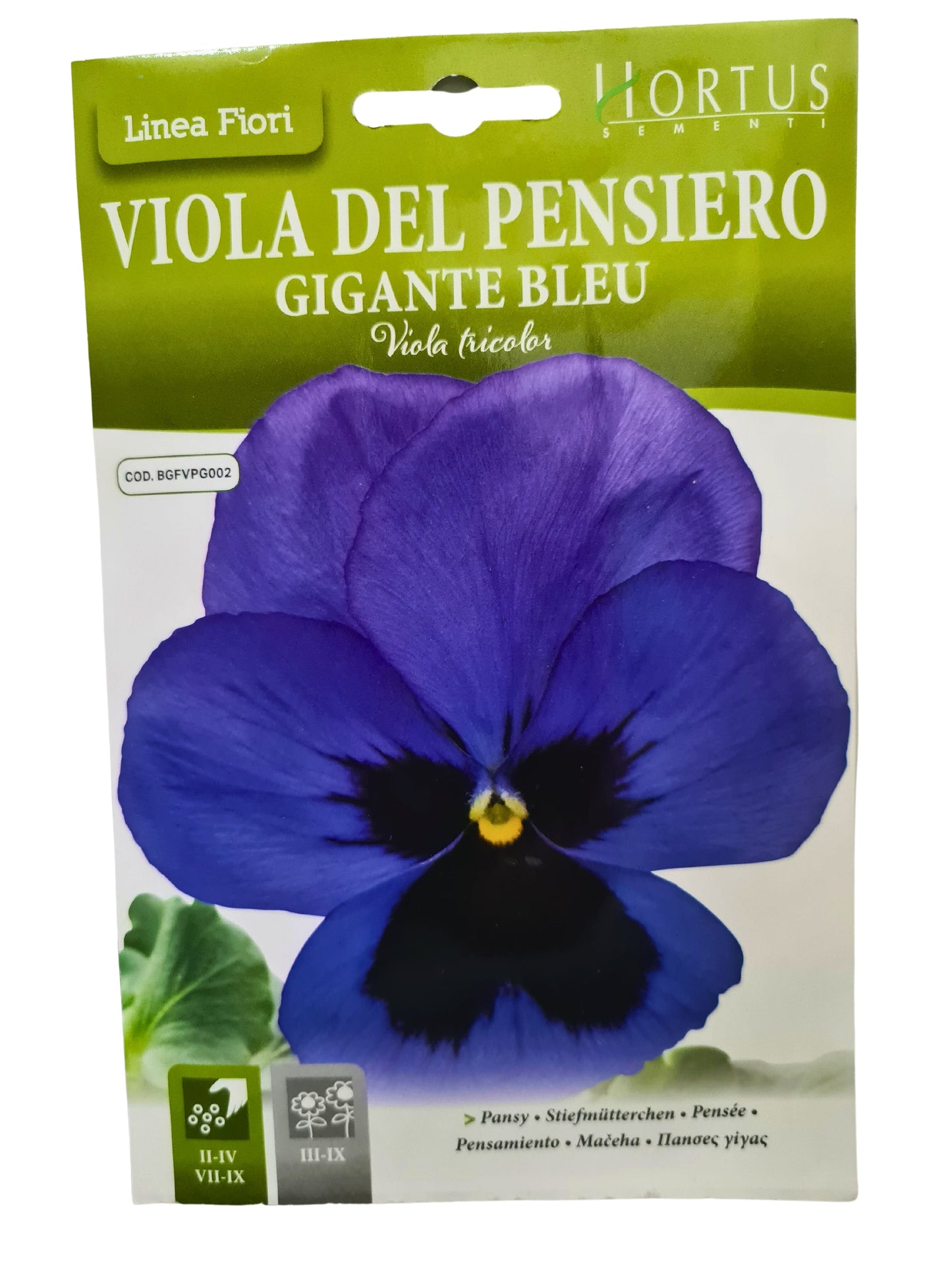 Pansy (Gigante Bleu) Seeds