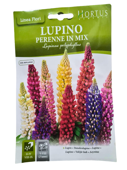 Lupin Seeds