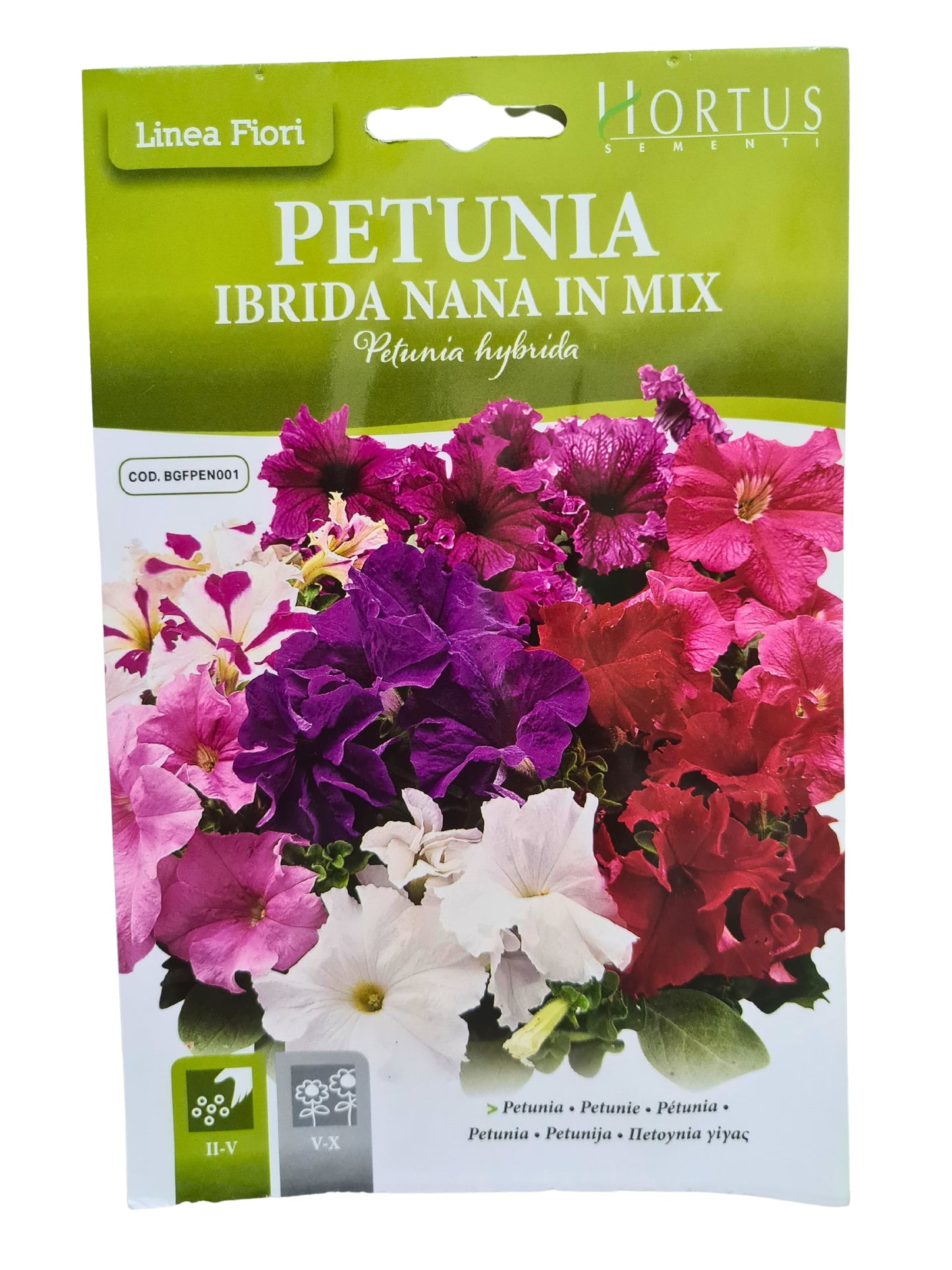 Petunia (Ibrida Nana In Mix) Seeds