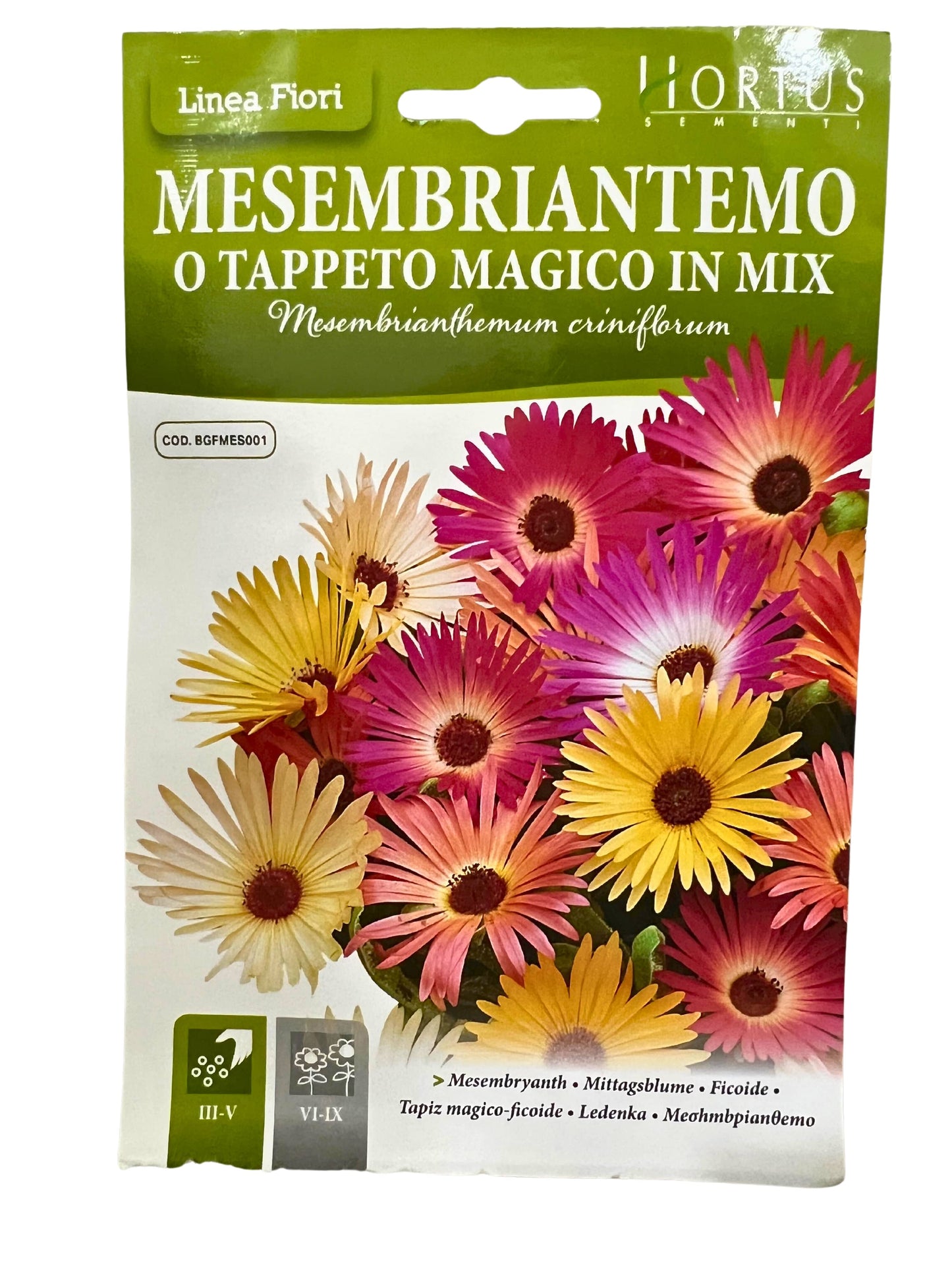 Mesembryanth Seeds