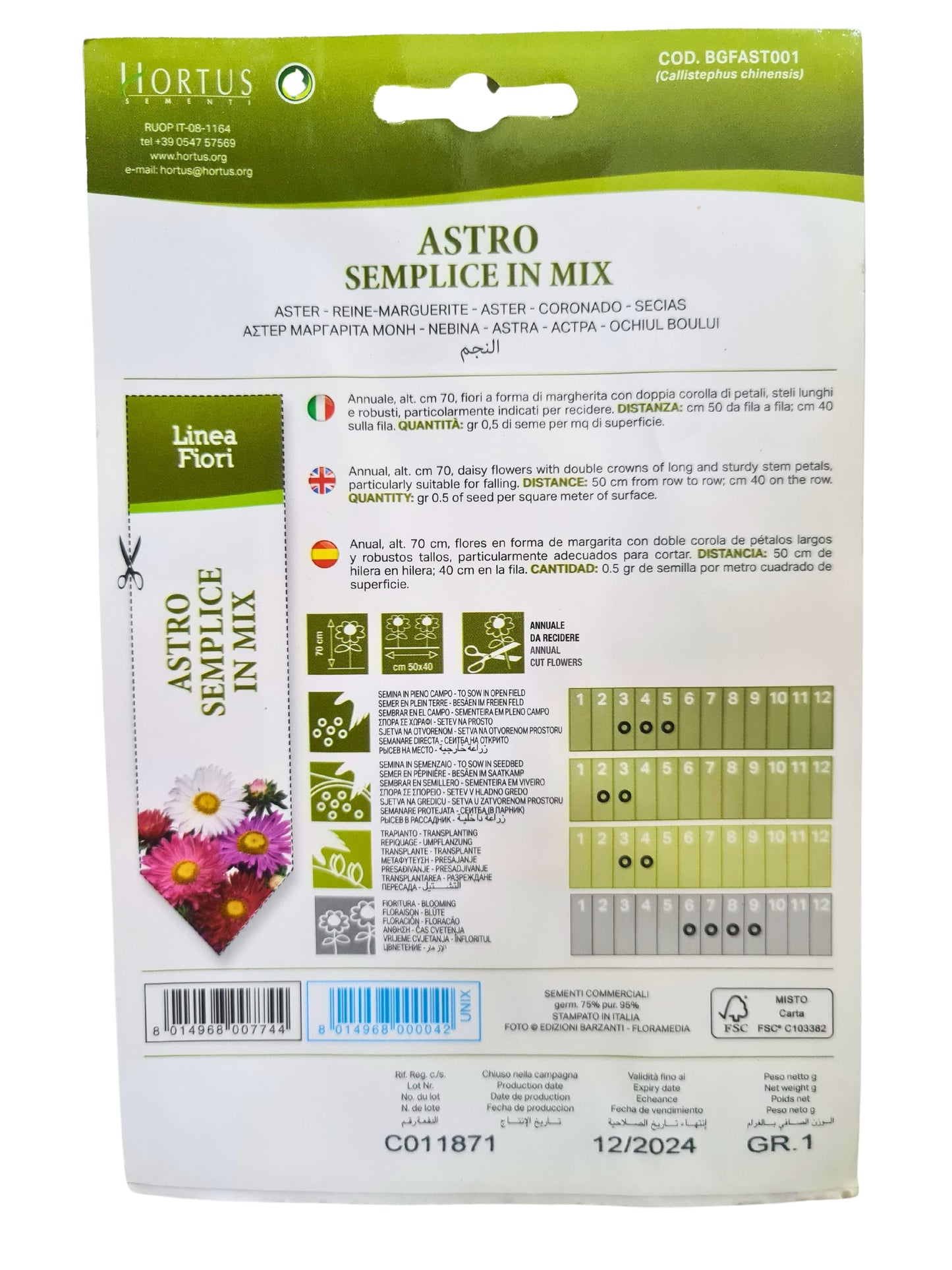 Aster (Semplice In Mix) Seeds