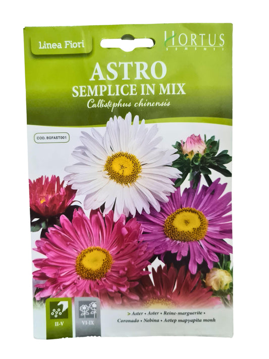 Aster (Semplice In Mix) Seeds