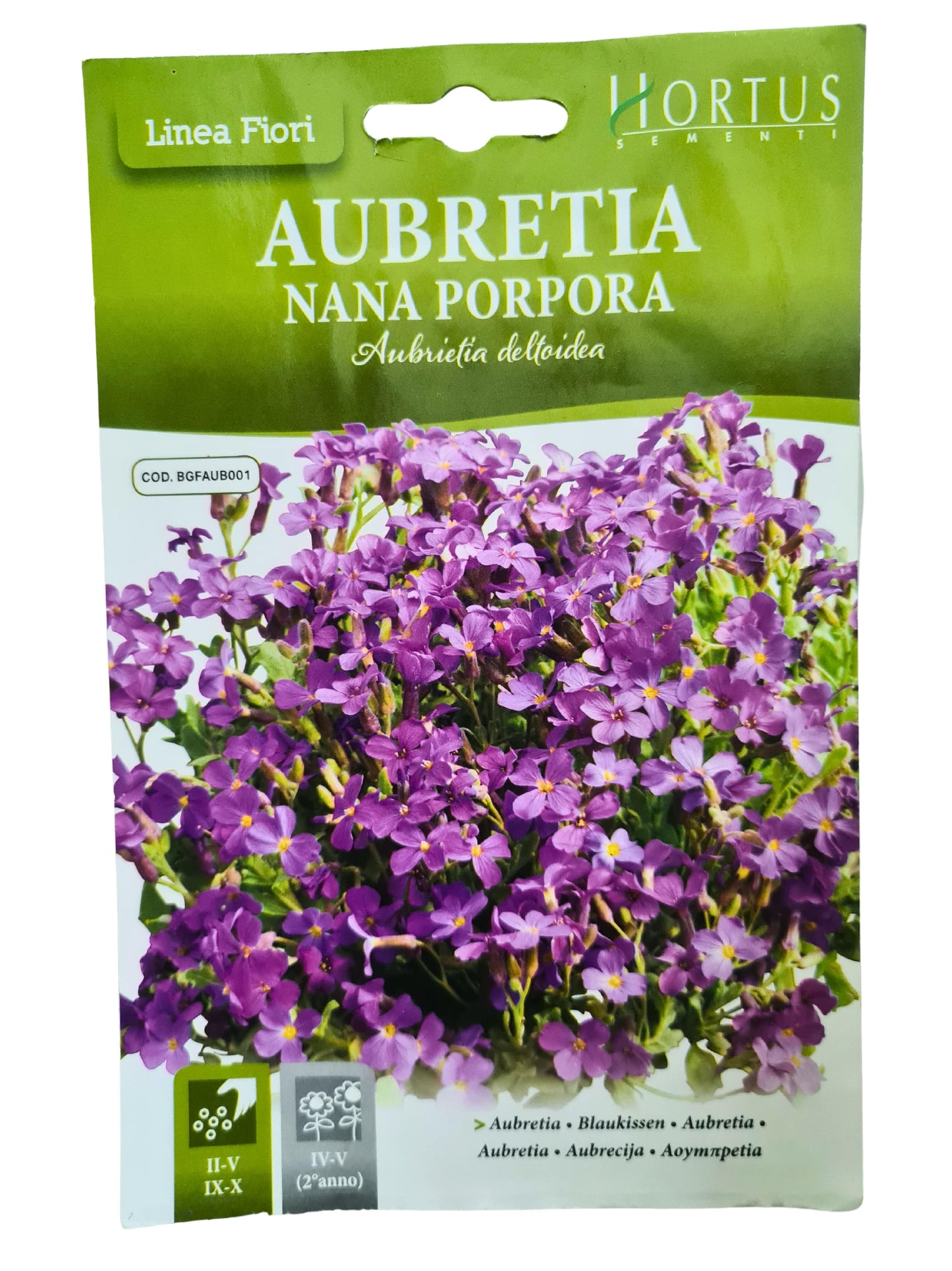 Aubretia Seeds