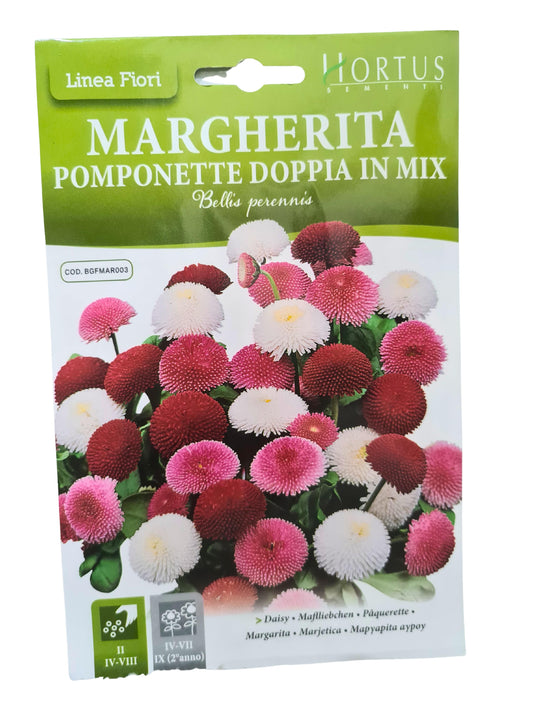 Daisy (Pomponette Doppia In Mix) Seeds