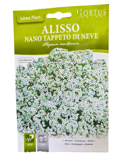 Alyssum (Nano Tappeto Di Neve) Seeds