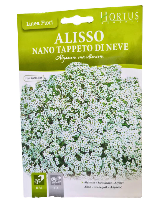 Alyssum (Nano Tappeto Di Neve) Seeds