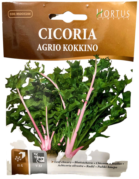 Leaf Chicory (Agrio Kokkino) Seeds