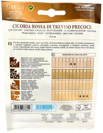 Leaf Chicory (Rossa Di Treviso Precoce) Seeds