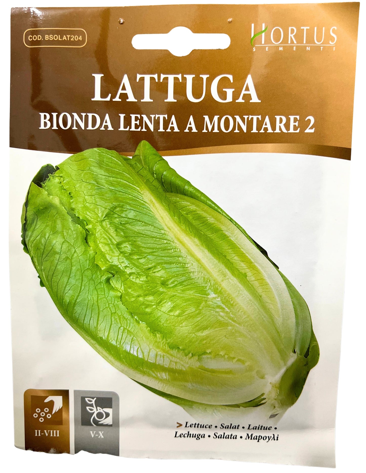 Lettuce (Bionda Lenta A Montare 2) Seeds