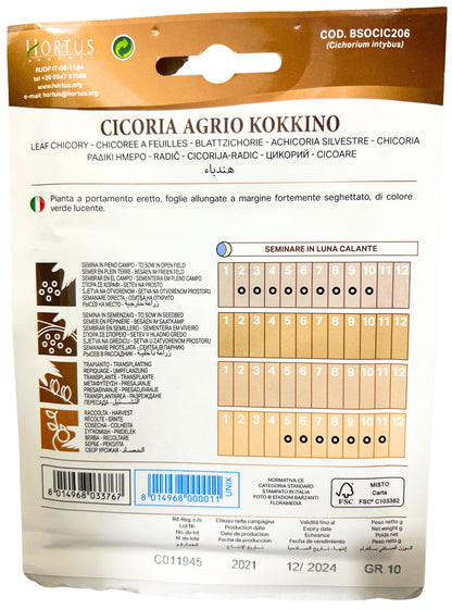 Leaf Chicory (Agrio Kokkino) Seeds