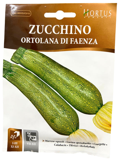 Marrow-squash (Ortolana Di Faenza) Seeds