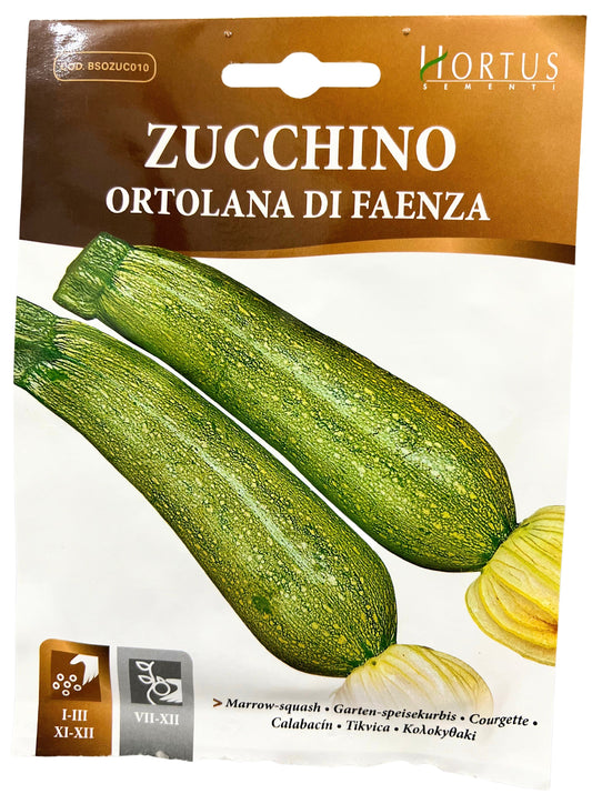 Marrow-squash (Ortolana Di Faenza) Seeds