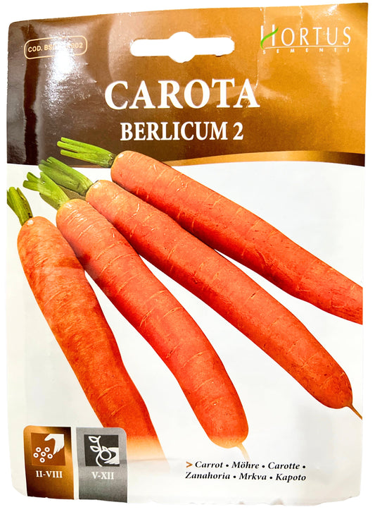 Carrot ( Berlicum 2) Seeds