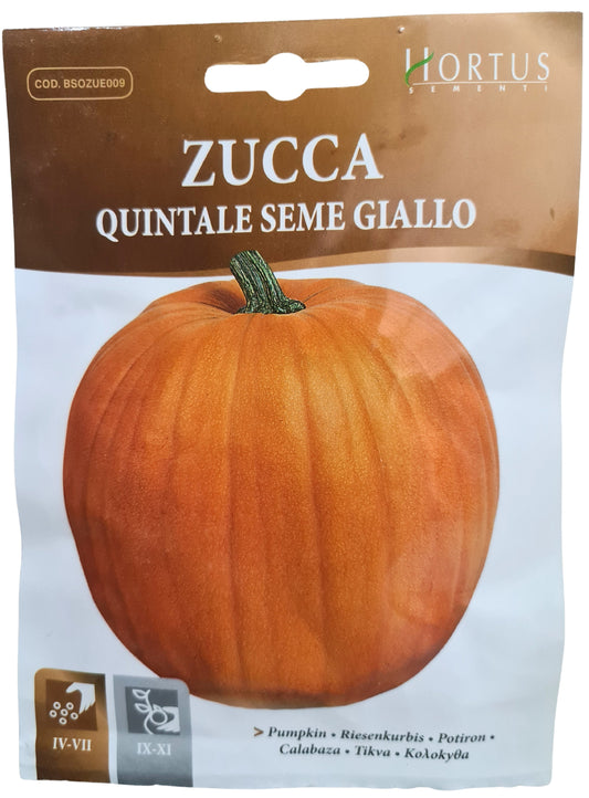 Pumpkin (Quintale Seme Giallo) Seeds