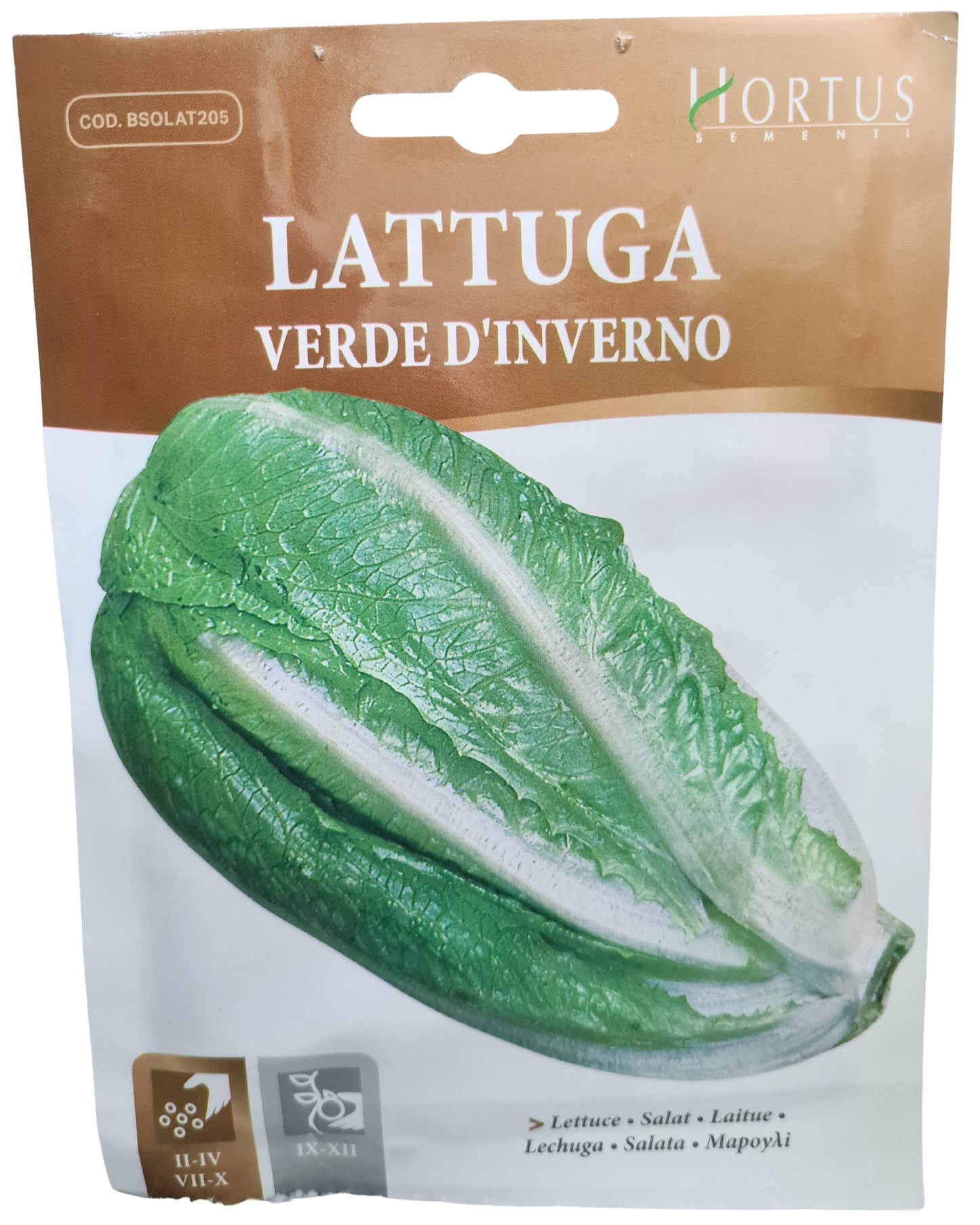 Lettuce (Verde D'inverno) Seeds