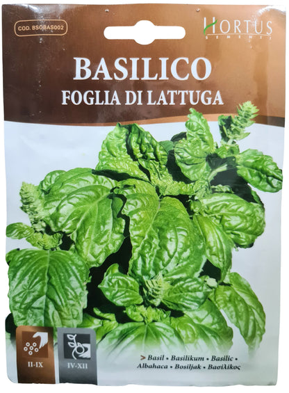 Basil (Foglia Di Lattuga) Seeds