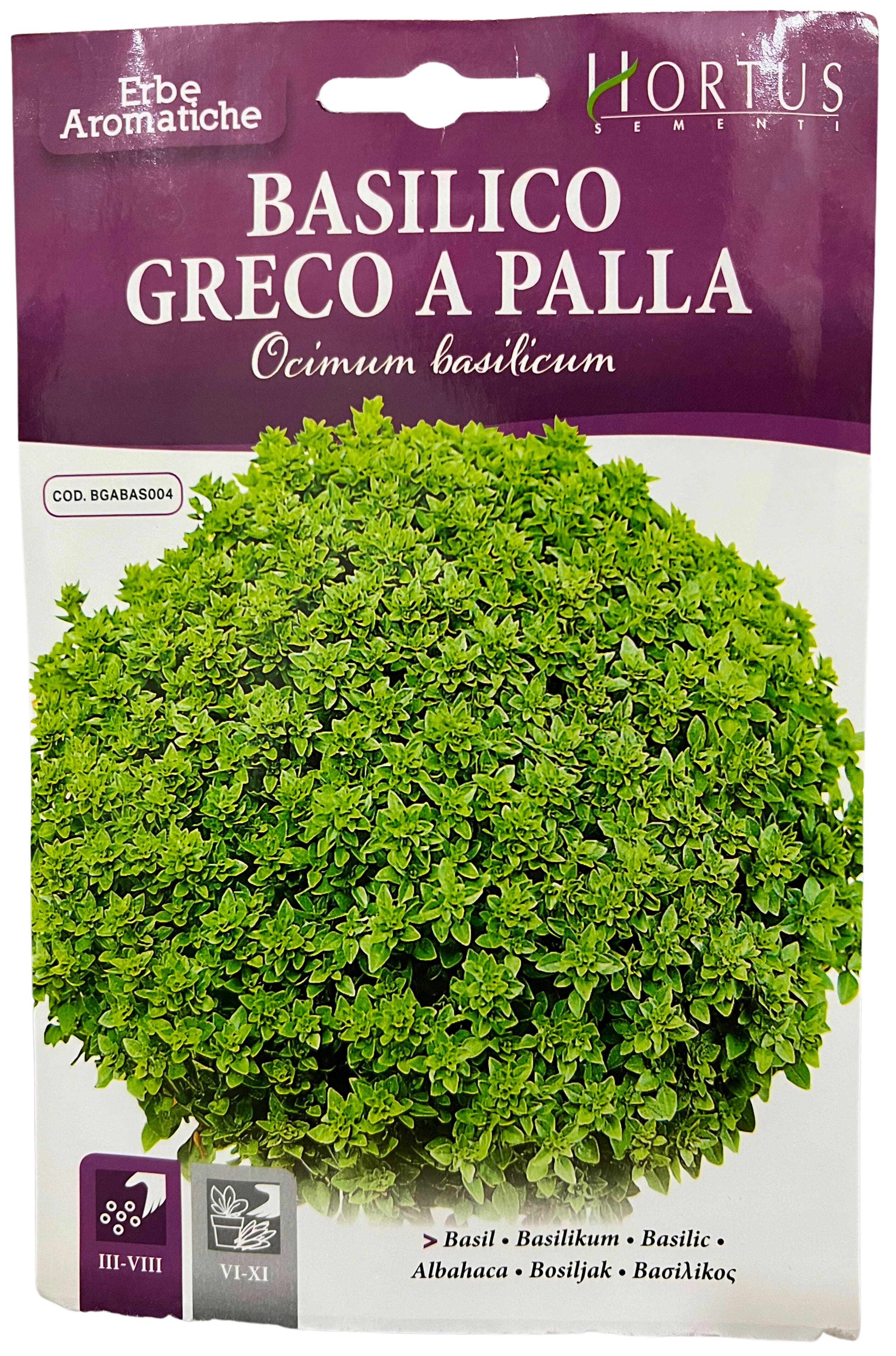 Basil Greco A Palla Ocimum Basilicum Seeds