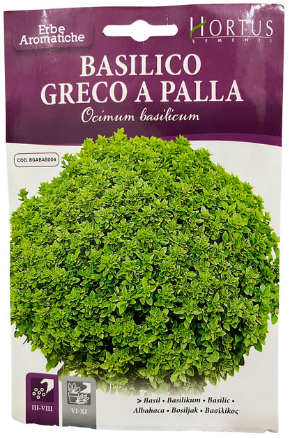 Basil ( Greco A Palla Ocimum Basilicum) Seeds