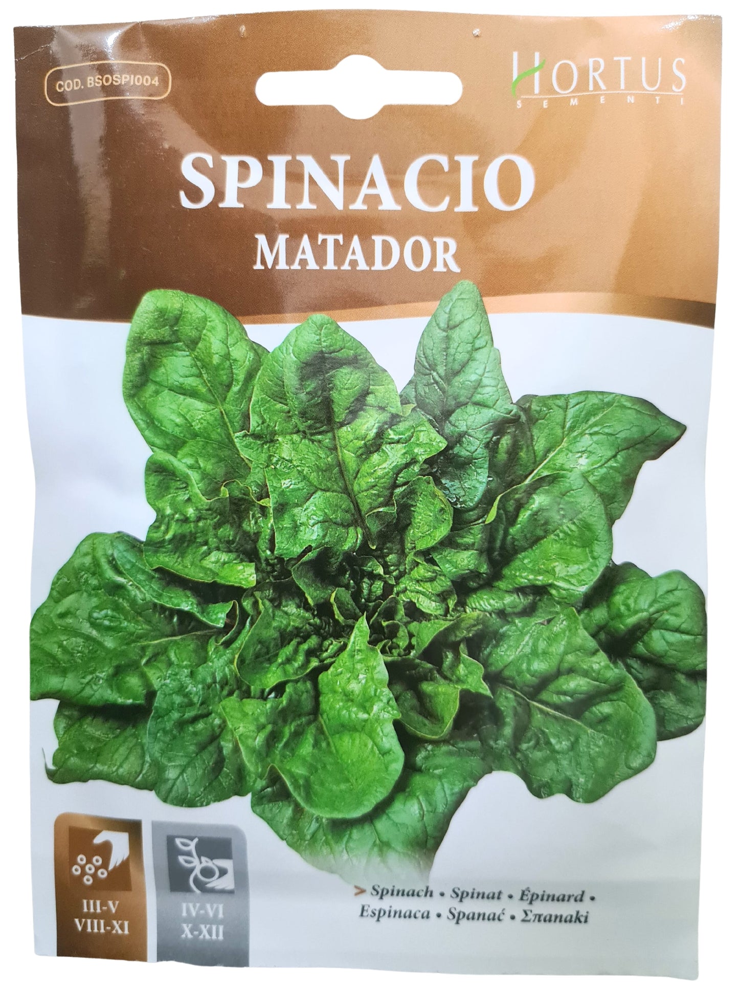 Spinach Seeds