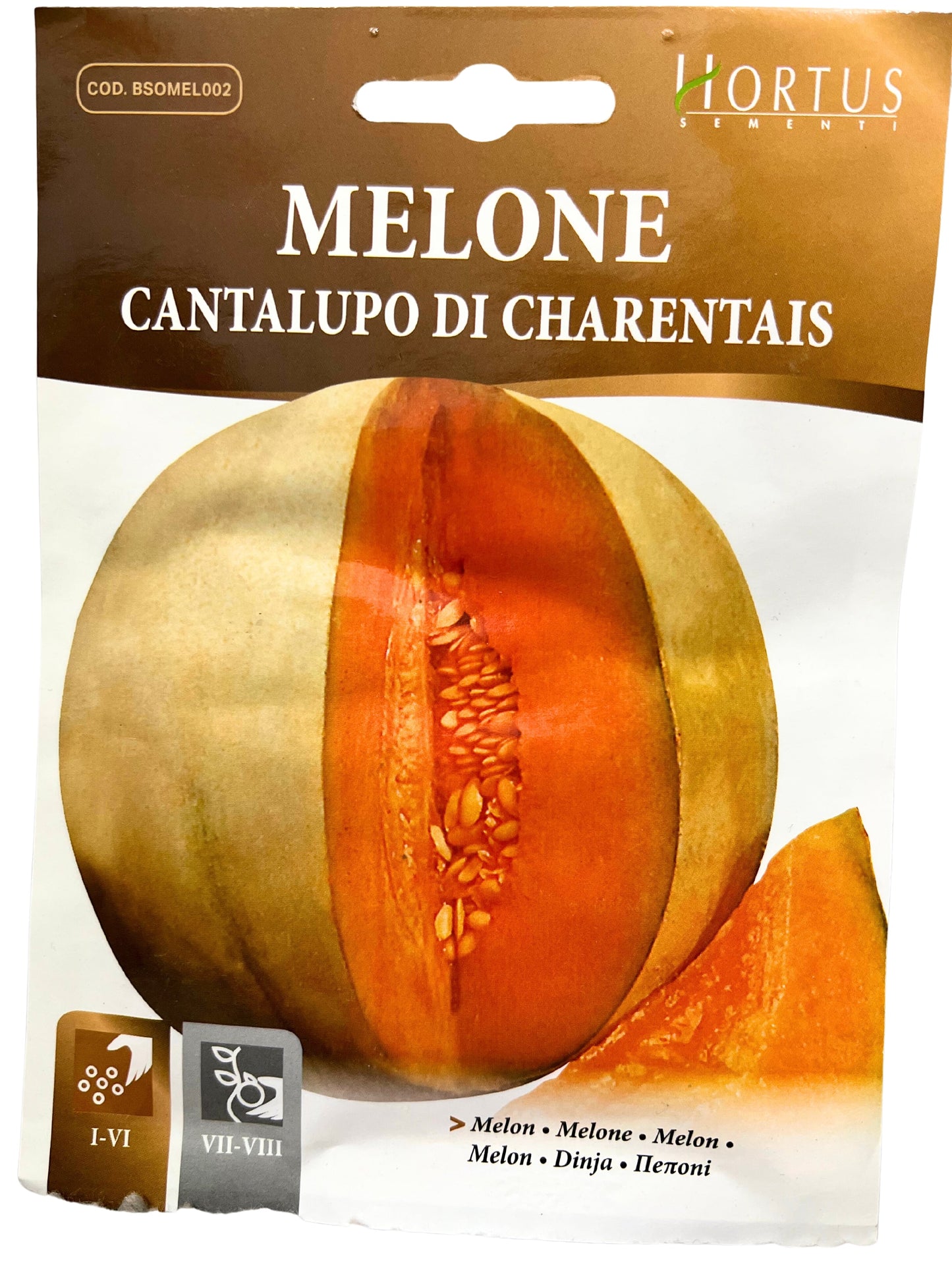 Melon (Cantalupo Di Charentais) Seeds