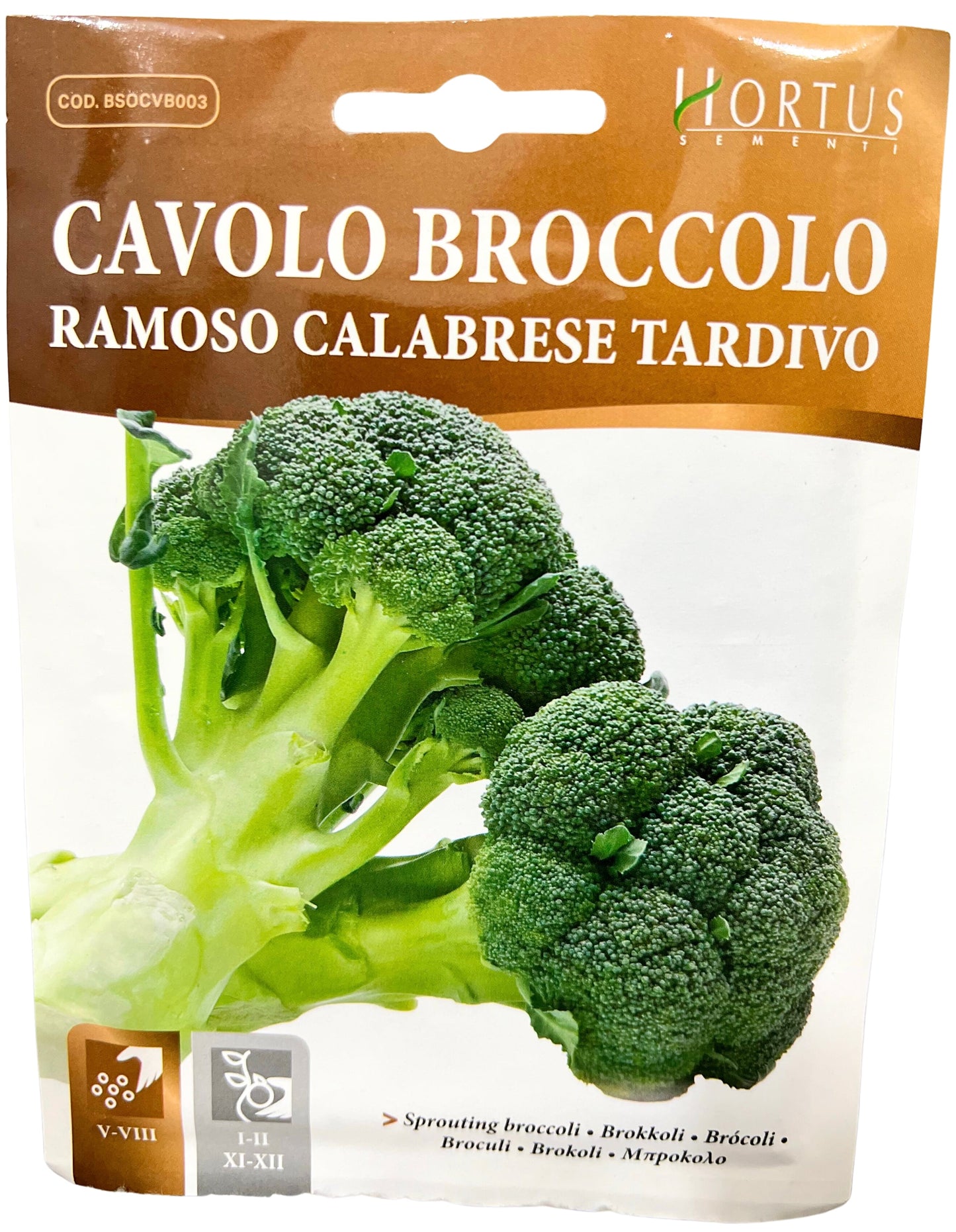 Sprouting Broccoli (Ramoso Calabrese Tardivo) Seeds