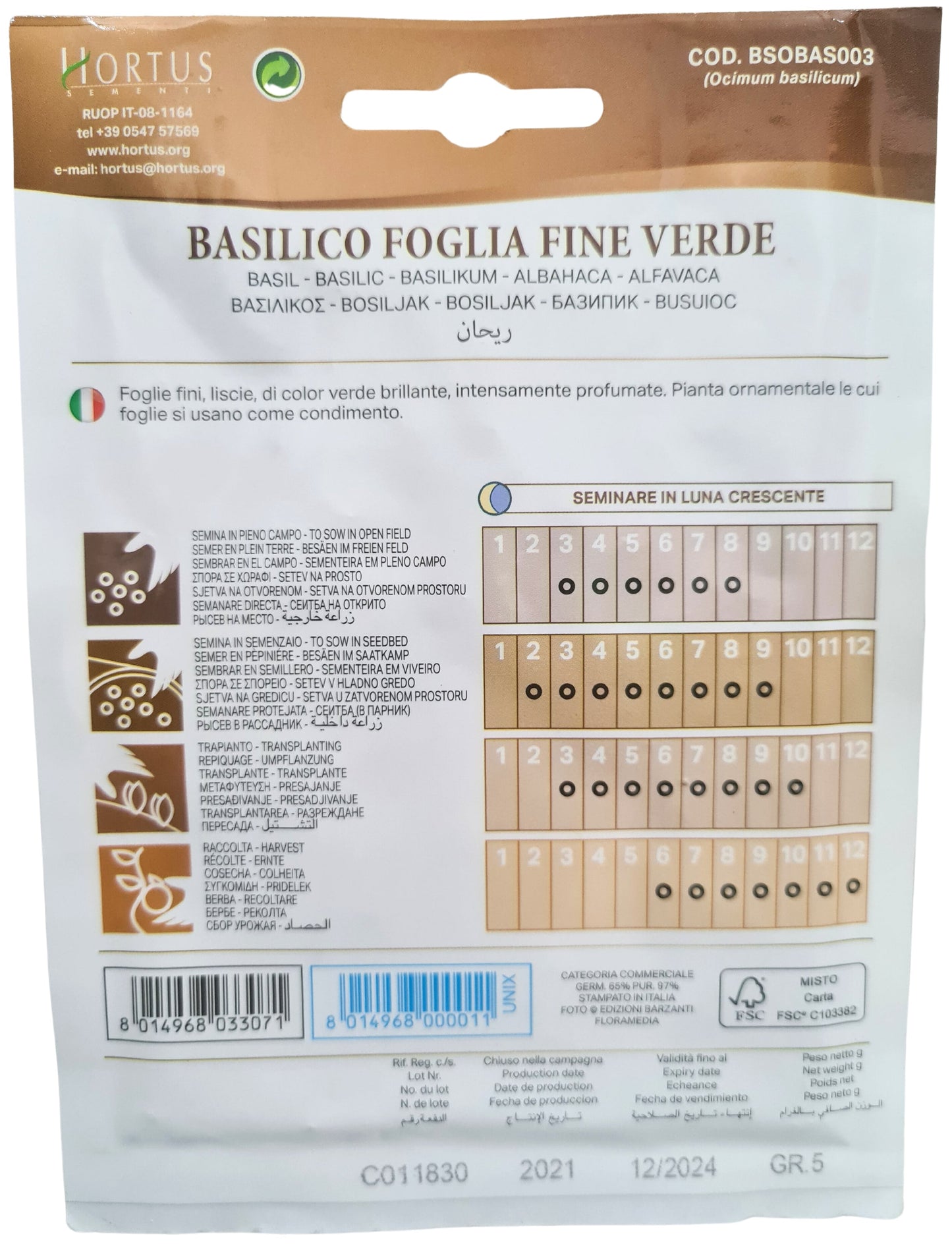 Basil ( Foglia Fine Verde) Seeds