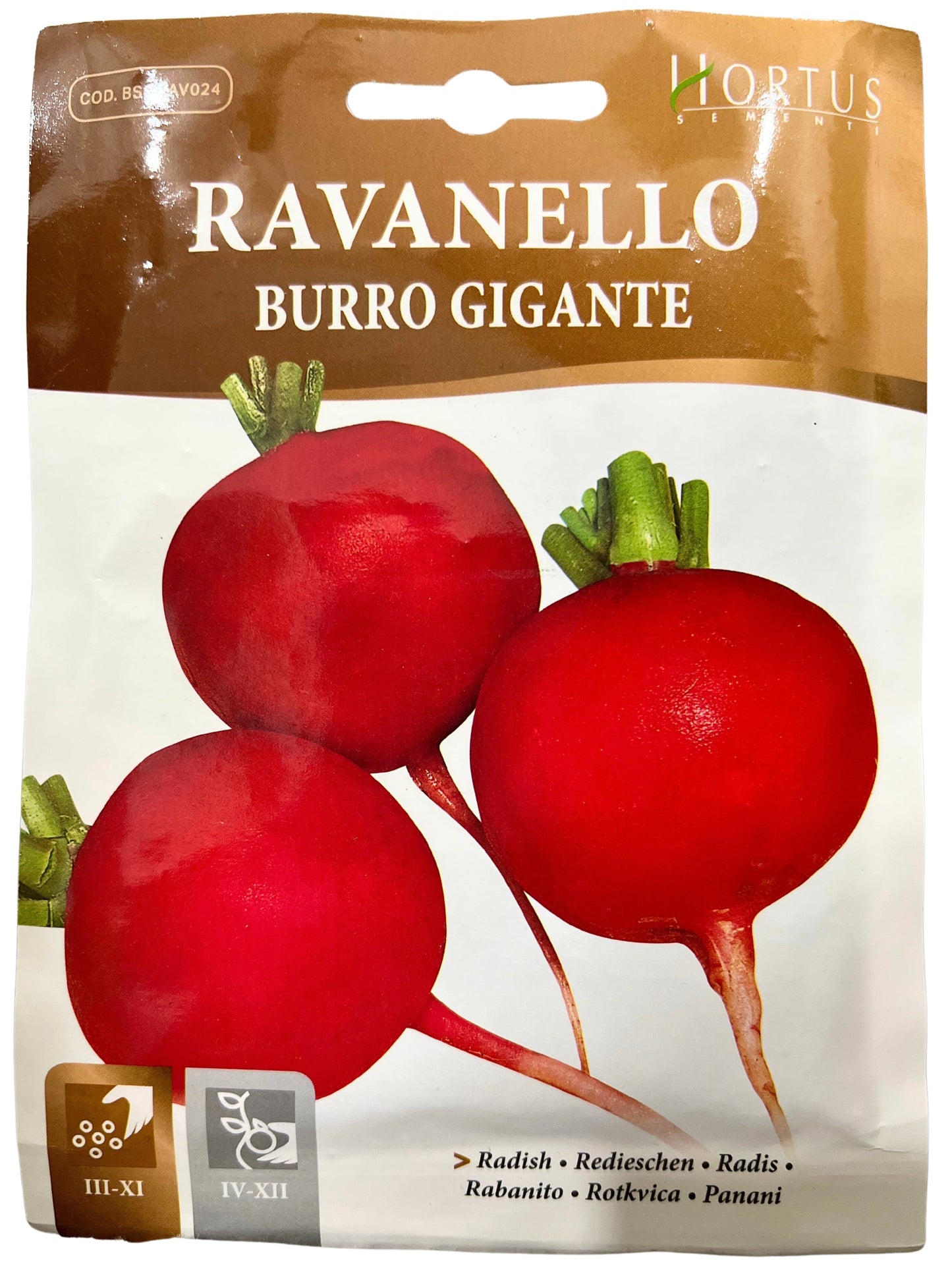 Radish ( Burro Gigante) Seeds